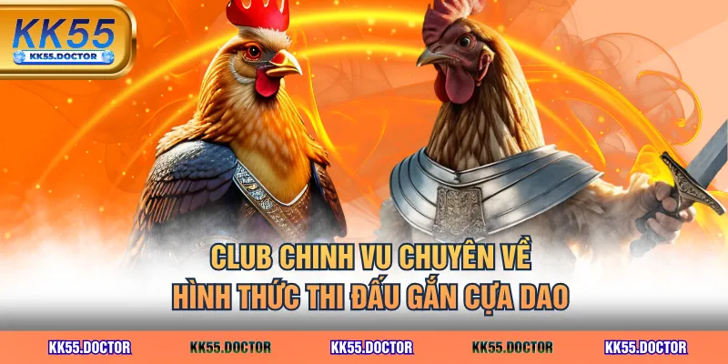 CLUB Chinh Vu chuyên về hình thức thi đấu gắn cựa dao